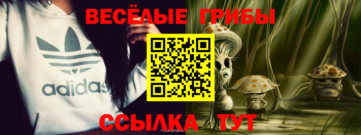 Ишимбай  купить наркотик  Вход с VPN  Галлюциногенные грибы прущие грибы 